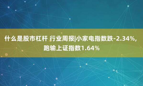 什么是股市杠杆 行业周报|小家电指数跌-2.34%, 跑输上证指数1.64%