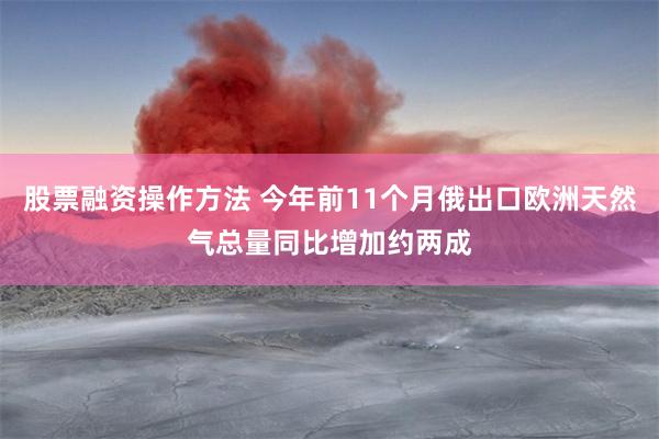 股票融资操作方法 今年前11个月俄出口欧洲天然气总量同比增加约两成