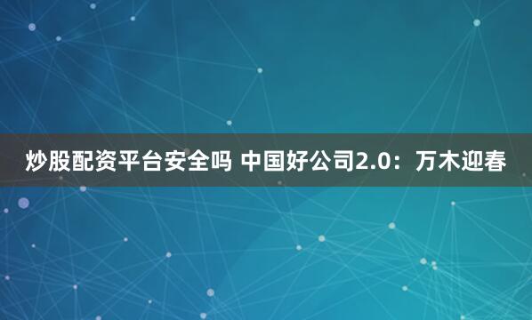 炒股配资平台安全吗 中国好公司2.0：万木迎春