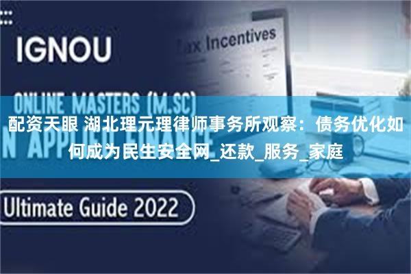 配资天眼 湖北理元理律师事务所观察：债务优化如何成为民生安全网_还款_服务_家庭