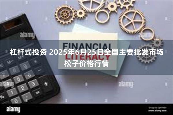 杠杆式投资 2025年6月25日全国主要批发市场松子价格行情
