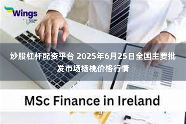 炒股杠杆配资平台 2025年6月25日全国主要批发市场杨桃价格行情