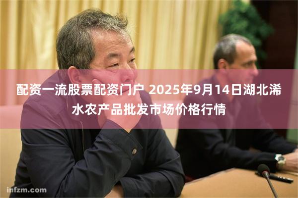 配资一流股票配资门户 2025年9月14日湖北浠水农产品批发市场价格行情